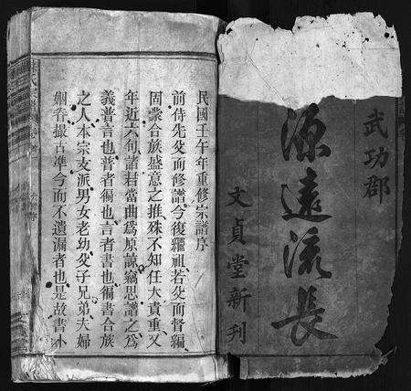 福建、安徽苏氏族谱-苏氏宗谱 [10卷,首2卷].pdf电子版预览图2