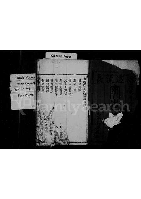 福建王氏族谱-太原郡王氏宗谱.pdf电子版预览图2