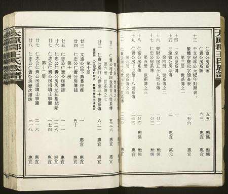 福建王氏族谱-太原郡王氏族谱[13册].pdf电子版预览图2