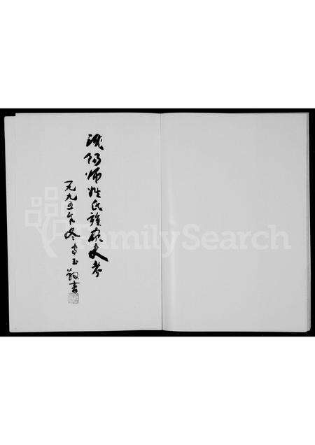 辽宁师氏族谱-沈阳师姓氏族家史考.pdf电子版预览图2