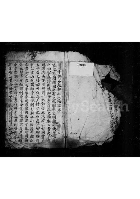 福建王氏族谱-重修石鼓林王氏族谱.pdf电子版预览图2