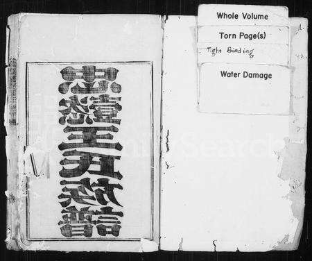 福建王氏族谱-忠懿王氏族谱.pdf电子版预览图2