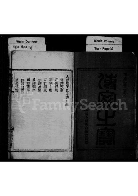 福建王氏族谱-太原郡王氏宗谱.pdf电子版预览图2