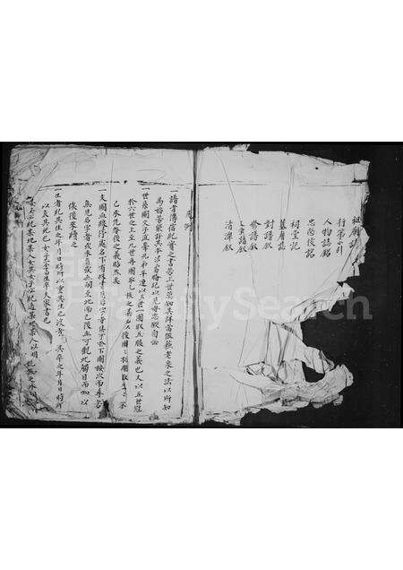 福建王氏族谱-太原郡王氏宗谱.pdf电子版预览图2