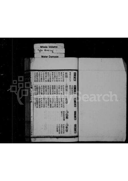 福建王氏族谱-王氏宗谱 _ 福鼎店下乡玉岐.pdf电子版预览图2