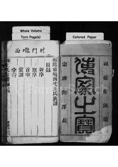 福建王氏族谱-褔鼎前岐西宅王氏族谱.pdf电子版预览图2