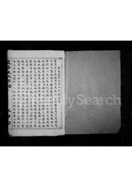 福建王氏族谱-太原郡蓝岸王氏宗谱.pdf电子版预览图2