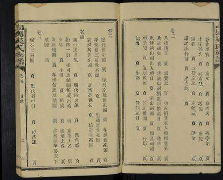 福建吴氏族谱-司马吴氏族谱 [10卷,首1卷].pdf电子版预览图2