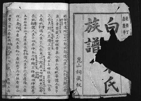 福建袁氏族谱-白砂袁氏族谱 [4卷,及卷首].pdf电子版预览图2