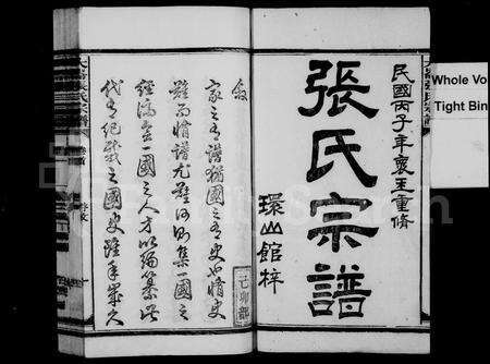 福建张氏族谱-大仑张氏宗谱 [21卷,及卷首末].pdf电子版预览图2