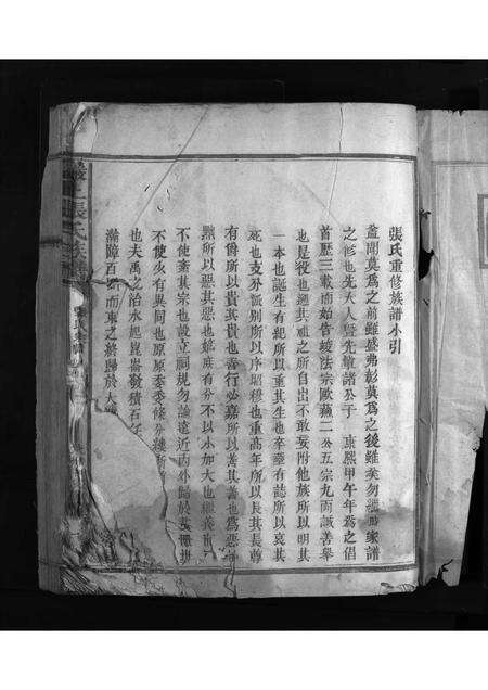 福建张氏族谱-巖上张氏族谱 [不分卷].pdf电子版预览图2