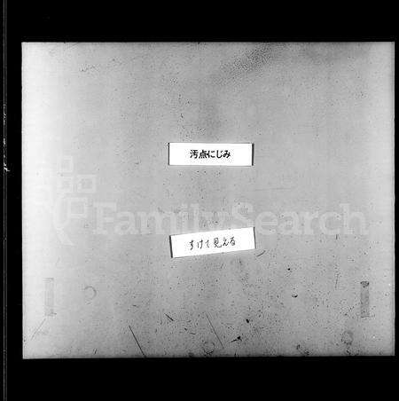 辽宁甘氏族谱-沈阳旗汉甘氏家谱(别名：沈阳甘氏家谱).pdf电子版预览图2