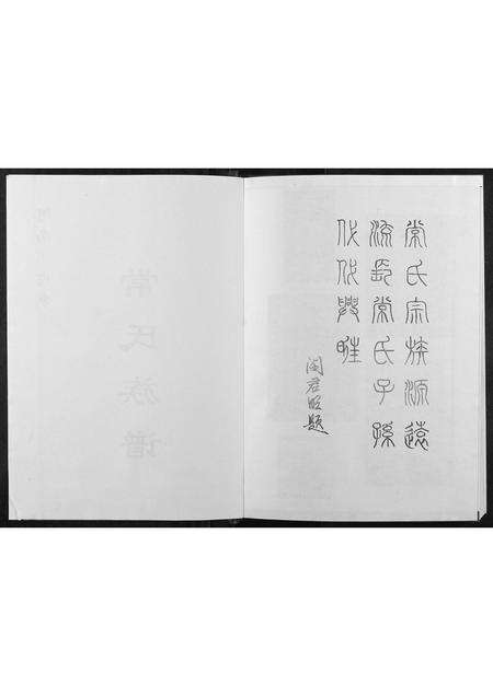 河南常氏族谱-常氏族谱.pdf电子版预览图2