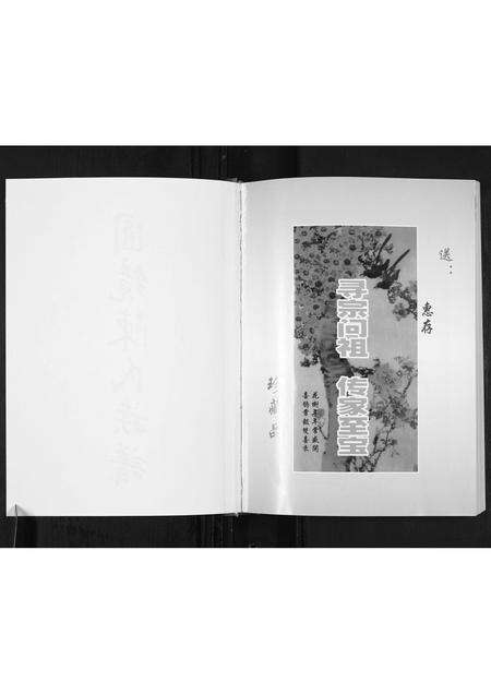 广东陈氏族谱-圆镜陈氏族谱.pdf电子版预览图2