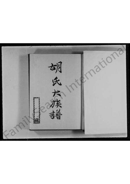 福建胡氏族谱-胡氏大族谱.pdf电子版预览图2