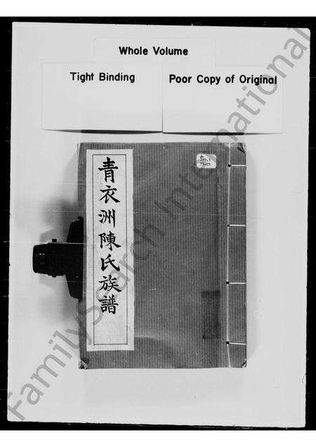 广东陈氏族谱-青衣洲陈氏族谱.pdf电子版预览图2