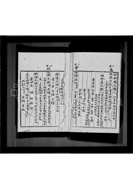 广东陈氏族谱-鹿颈村陈氏族谱.pdf电子版预览图2