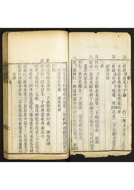 河南陈氏族谱-陈氏家谱.pdf电子版预览图2