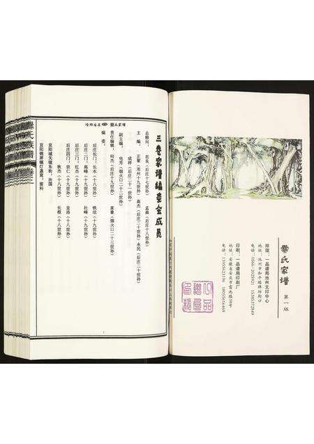 河南爨氏族谱-爨氏家谱.pdf电子版预览图2