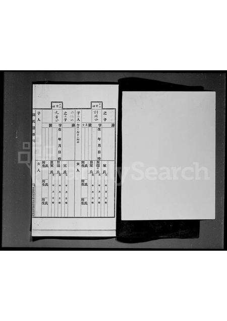 广东邓氏族谱-邓氏谱系.pdf电子版预览图2