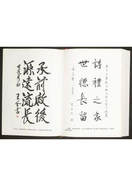 河南杜氏族谱-杜氏族谱.pdf电子版预览图2