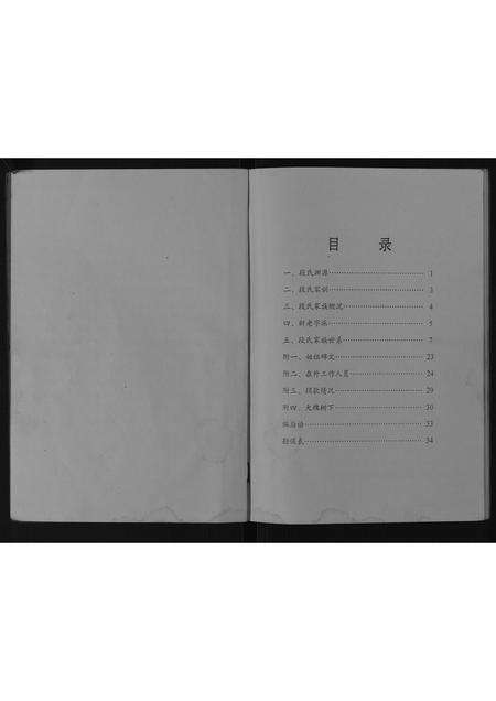 河南段氏族谱-段氏家谱[不分卷].pdf电子版预览图2