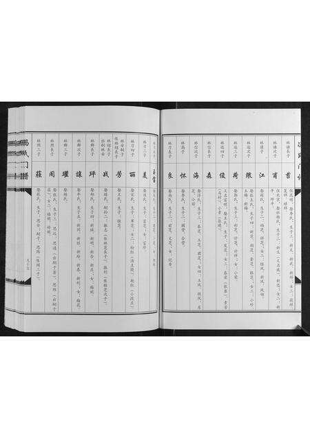 河南冯氏族谱-冯氏门谱[上下卷].pdf电子版预览图2