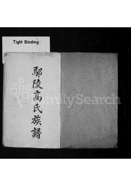 河南高氏族谱-鄢陵高氏族谱.pdf电子版预览图2