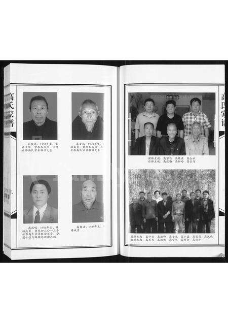河南高氏族谱-高氏家谱.pdf电子版预览图2