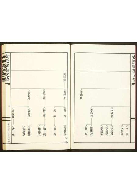 广东黄氏族谱-黄氏家谱支谱.pdf电子版预览图2