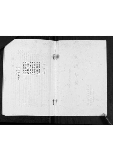 广东黄氏族谱-黄氏族谱.pdf电子版预览图2