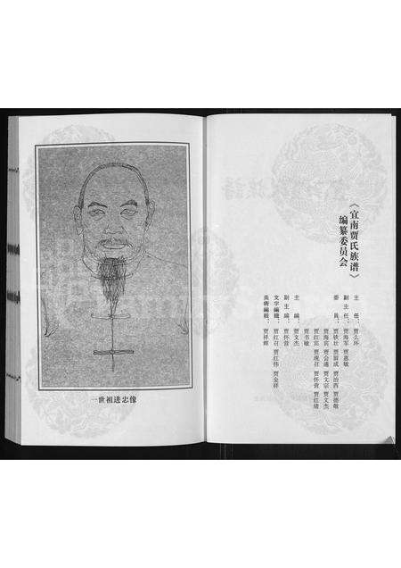 河南贾氏族谱-宜南贾氏族谱.pdf电子版预览图2