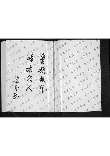 河南康氏族谱-康氏家谱.pdf电子版预览图2