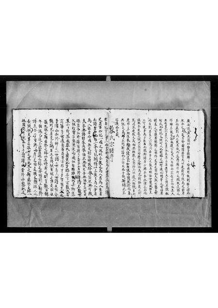 广东黎氏族谱-黎氏宗谱(东莞).pdf电子版预览图2