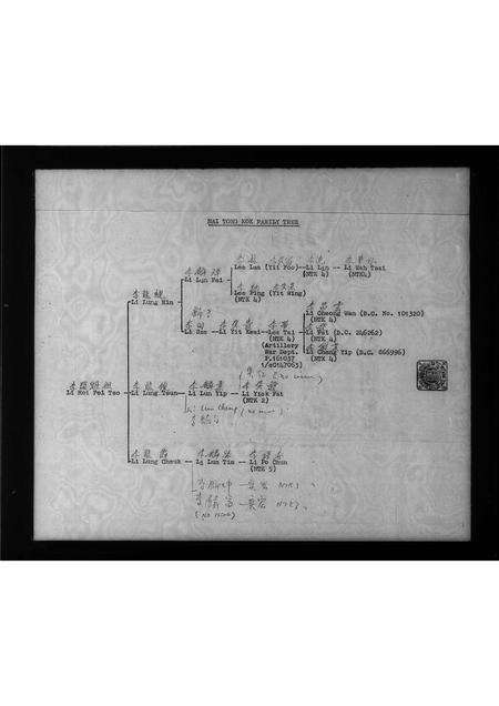 广东李氏族谱-泥塘角村李开魁祖家族谱.pdf电子版预览图2