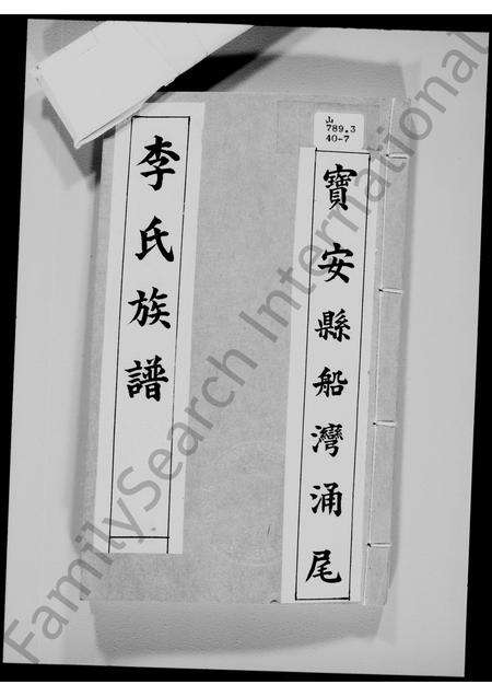 广东李氏族谱-宝安县船湾涌尾李氏族谱.pdf电子版预览图2