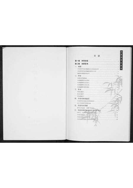 河南李氏族谱-月亮湾李氏家谱.pdf电子版预览图2