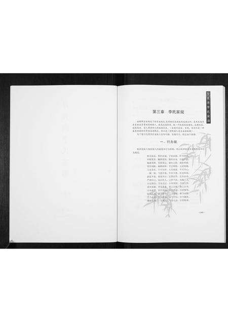 河南李氏族谱-月亮湾李氏家谱[2册].pdf电子版预览图2