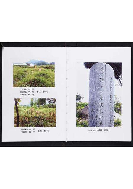 河南李氏族谱-李氏家谱[不分卷].pdf电子版预览图2