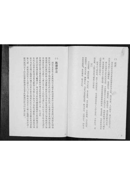 河南李氏族谱-洛阳李氏族谱.pdf电子版预览图2