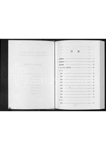 河南李氏族谱-坡东李李氏家谱 [不分卷].pdf电子版预览图2