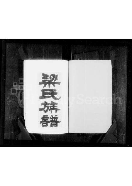 广东梁氏族谱-梁氏族谱.pdf电子版预览图2