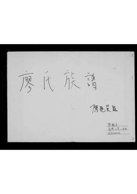 广东廖氏族谱-廖氏族谱.pdf电子版预览图2