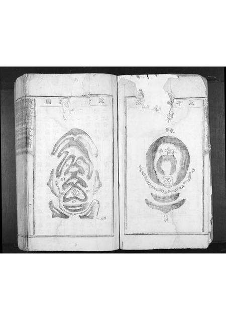 广东林氏族谱-广东嘉应州林氏族谱[不分卷].pdf电子版预览图2