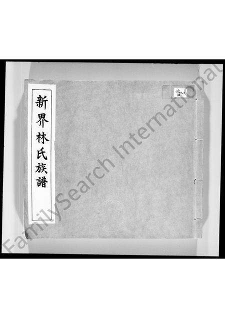 广东林氏族谱-新界林氏族谱.pdf电子版预览图2