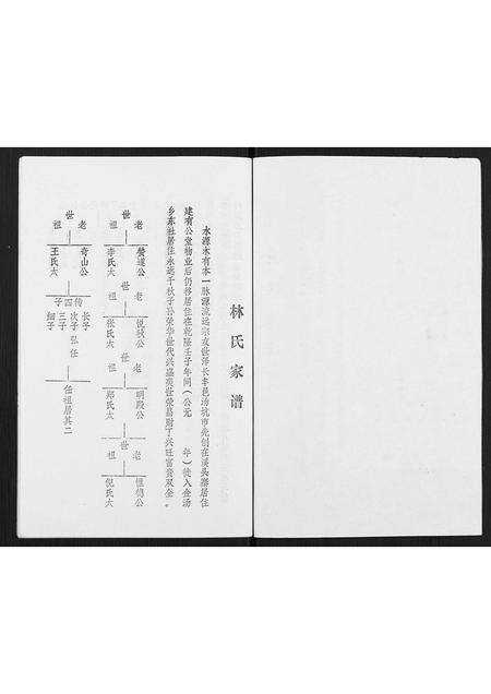 广东林氏族谱-林氏元丰家谱.pdf电子版预览图2