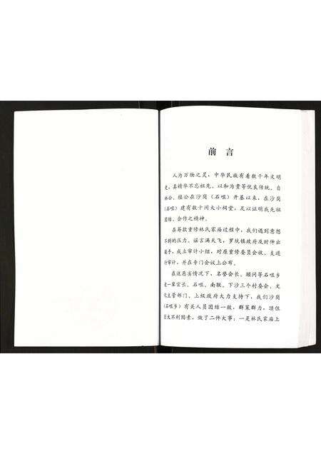 广东林氏族谱-林氏族谱集.pdf电子版预览图2