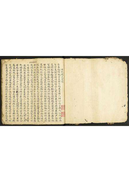 广东林氏族谱-冲式林氏家谱.pdf电子版预览图2