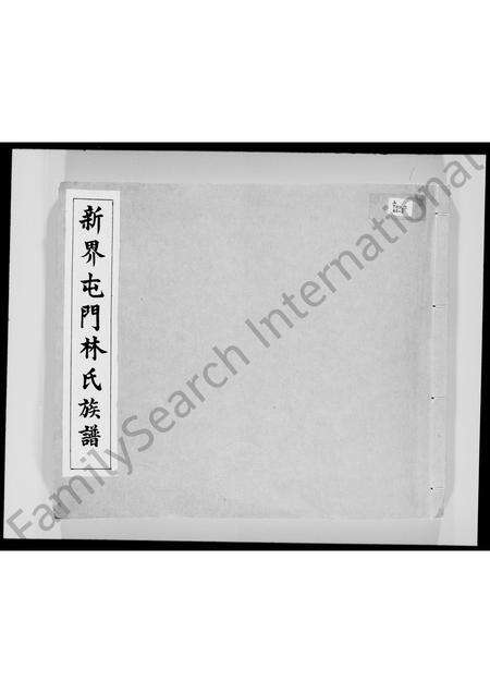 广东林氏族谱-新界屯门林氏族谱.pdf电子版预览图2