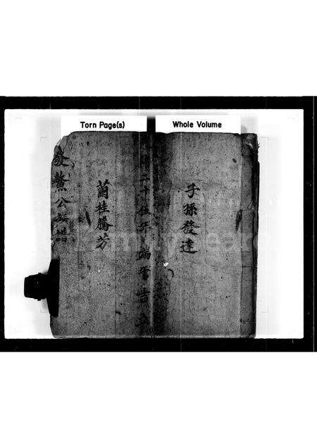 广东林氏族谱-发鳌公族谱第三房.pdf电子版预览图2